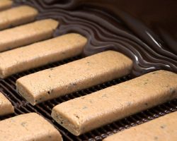 foodpharma-protein-energy-bars-manufacturing-food-bars